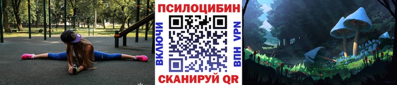Купить закладки Усть-Илимск Галлюциногенные грибы Psilocybe