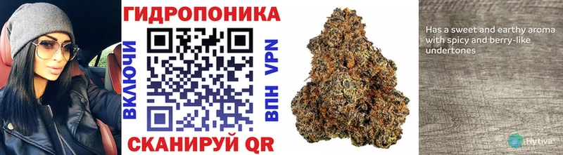 Конопля LSD WEED  Купить закладки  Усть-Илимск 